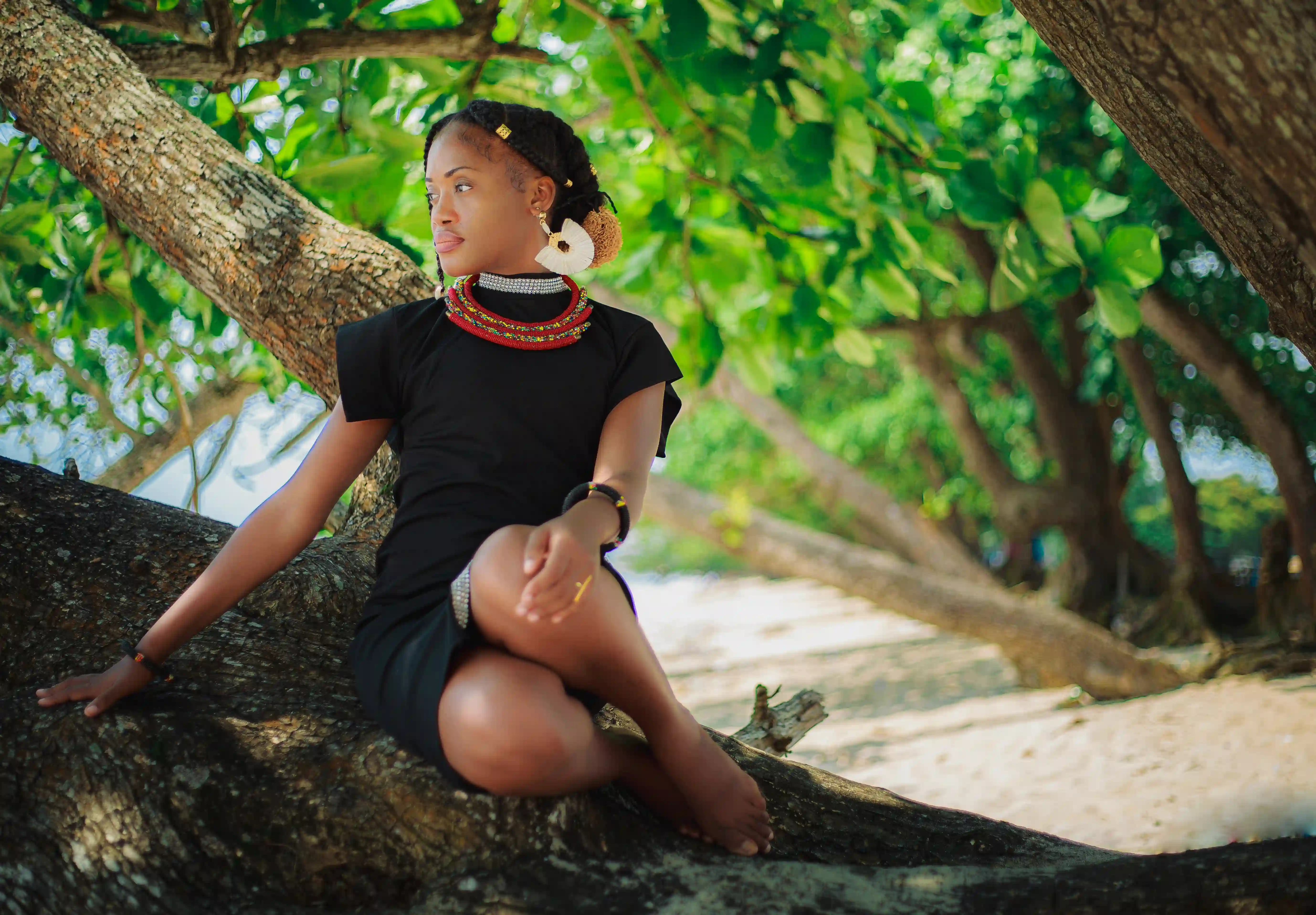 Orphée NYNY - Élégance