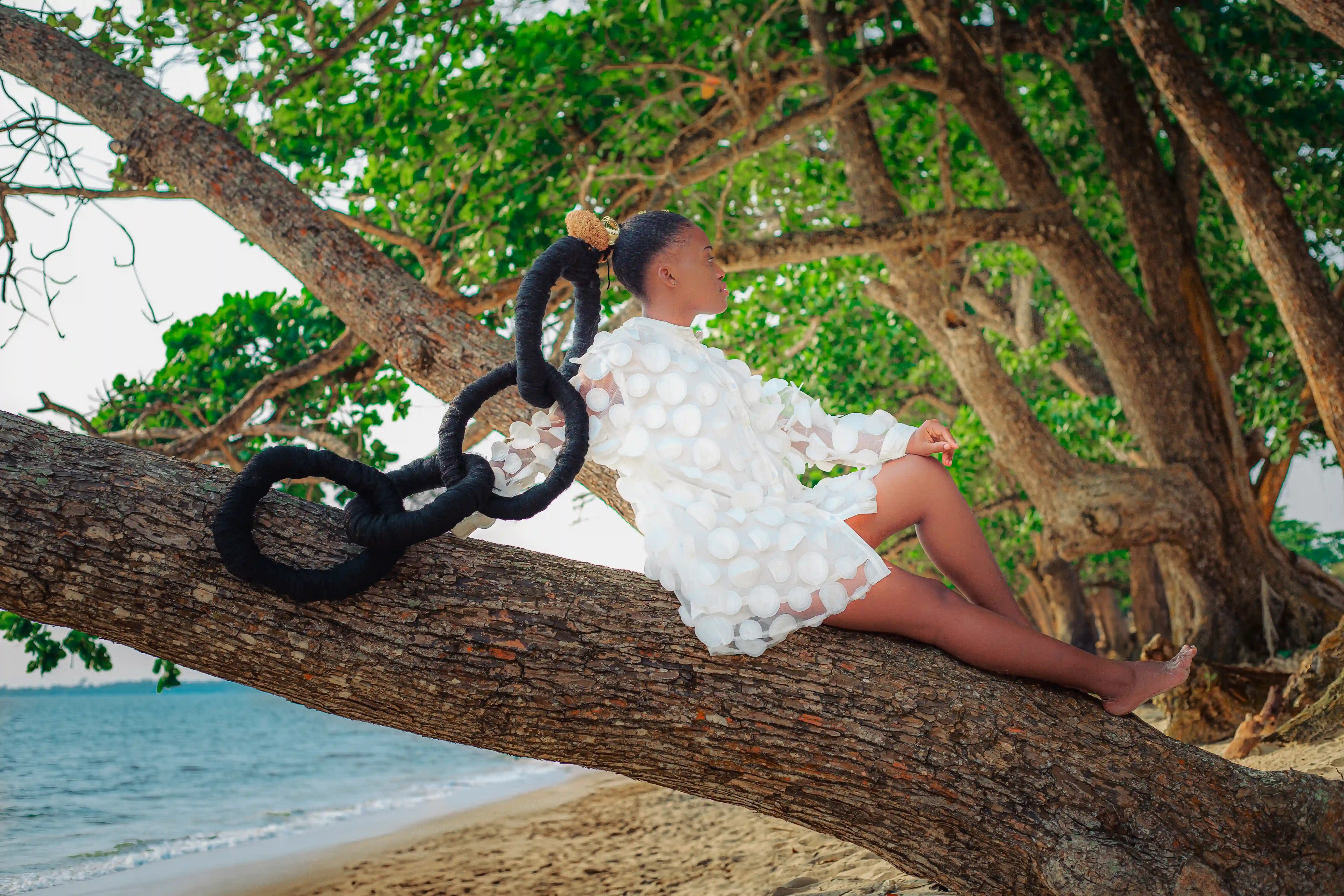 Orphée NYNY - Lumière