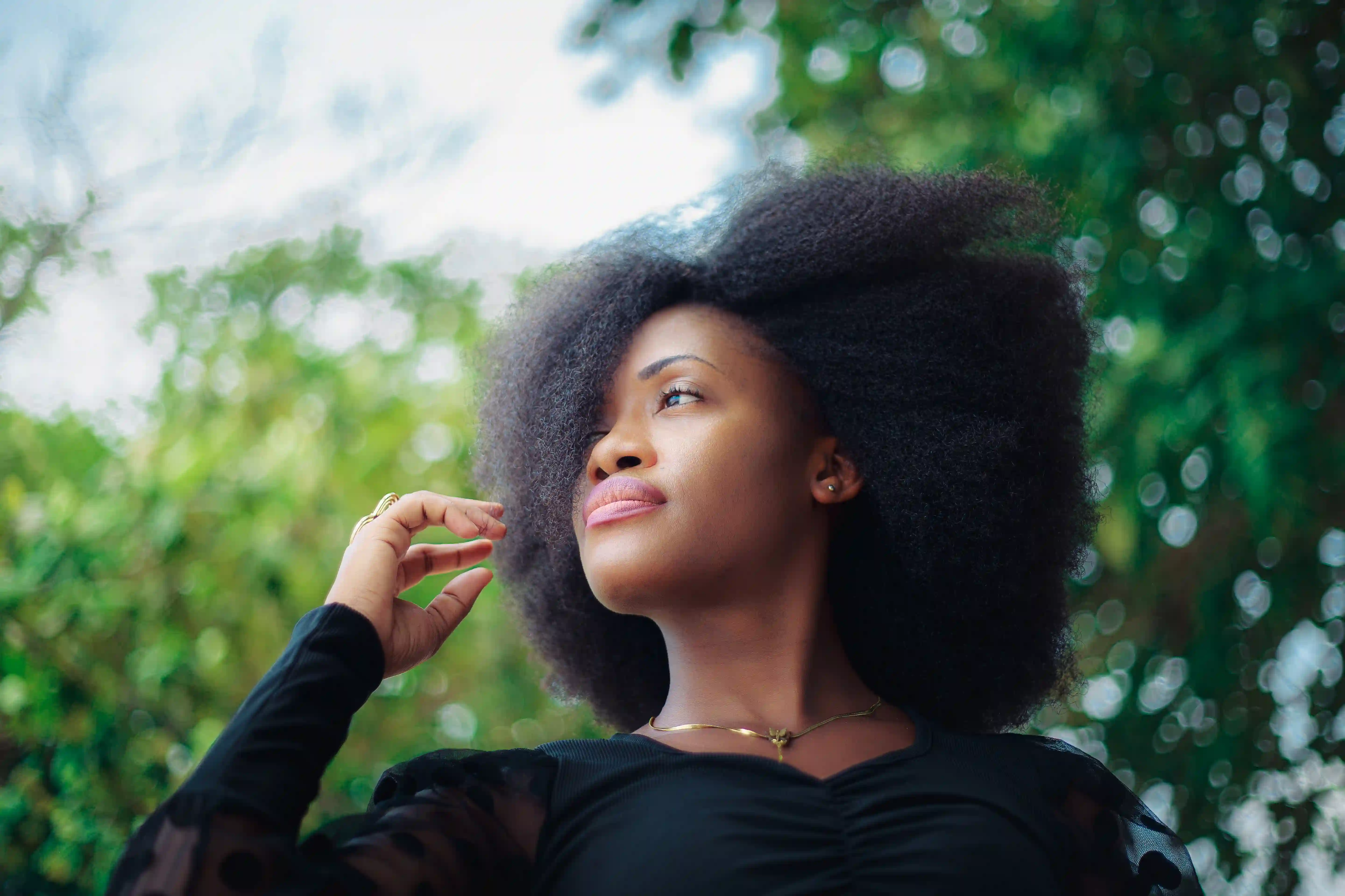 Orphée NYNY - Portrait Nature